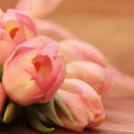 Rynek kwiatów - dynamiczny świat piękna i emocji
