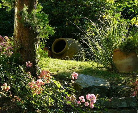 Sztuka wyboru donic do ogrodu: tworzenie harmonii w przestrzeni zielonej