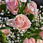 Odżywka do kwiatów ciętych - eliksir długowieczności dla twoich bukietów