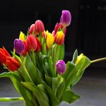 Tajemnica długotrwałej świeżości - odżywka do ciętych kwiatów