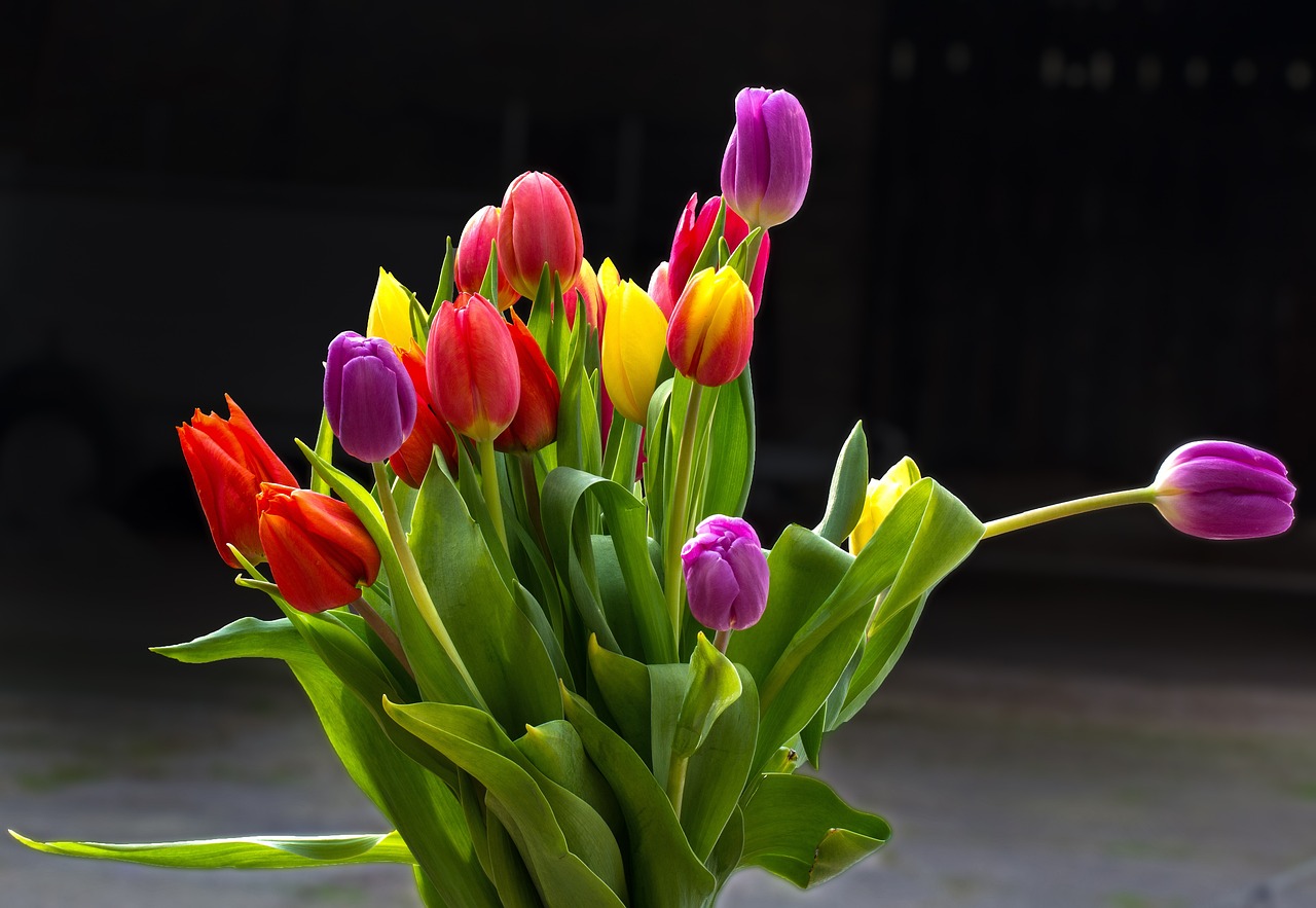 Tajemnica długotrwałej świeżości - odżywka do ciętych kwiatów